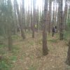 Zajęcia z Urządzania lasu
